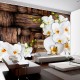 Papier peint  Blooming orchids