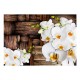 Papier peint  Blooming orchids
