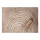 Papier peint  Cerne dun arbre