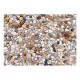 Papier peint  Stone Beach