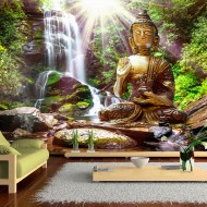 Papier peint  Forest Prayer