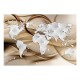 Papier peint  World Map  White & Diamonds