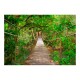 Papier peint  Bridge amid greenery