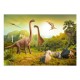 Papier peint  Dinosaurs