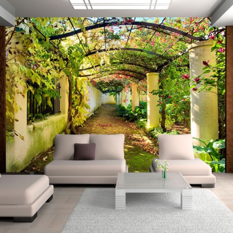 Papier peint  Pergola