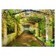 Papier peint  Pergola