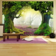 Papier peint  Enchanted forest