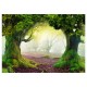 Papier peint  Enchanted forest