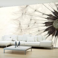 Papier peint  White Dandelion