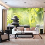 Papier peint  Serenity of nature