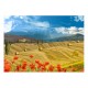 Papier peint  Autumn landscape