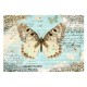 Papier peint  Postcard with butterfly