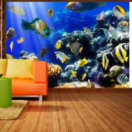 Papier peint  Underwater adventure