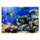 Papier peint  Underwater adventure
