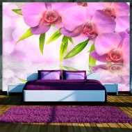 Papier peint  Orchids in lilac colour