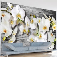 Papier peint  Callous orchids III