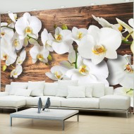 Papier peint  Forest Orchid