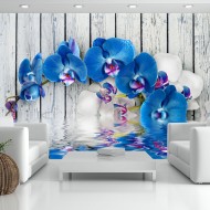 Papier peint  Cobaltic orchid
