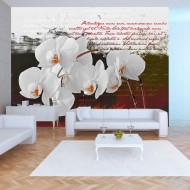 Papier peint  Diary and orchid