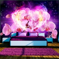 Papier peint  Orchids in flames