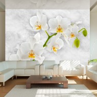 Papier peint  Lyrical orchid  White