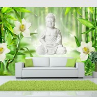 Papier peint  Buddha and nature