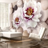 Papier peint  Flowers and Shells