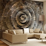Papier peint  Desert rose