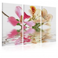 Tableau  Orchid with colorful spots