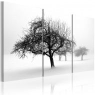 Tableau  Arbres dans le brouillard