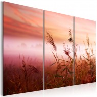 Tableau  Pré silencieux
