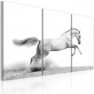 Tableau  Cheval au galop