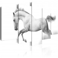 Tableau  Cheval  Passion et liberté
