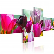 Tableau  Charme des coquelicots roses