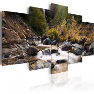 Tableau  Cascade dans la nature vierge