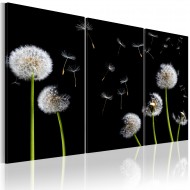 Tableau  Famille de pissenlits