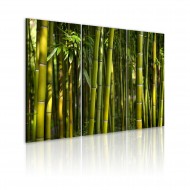 Tableau  Bambou et vert