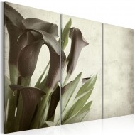 Tableau  callas  vintage