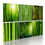 Tableau  Nombreux visages du bambou