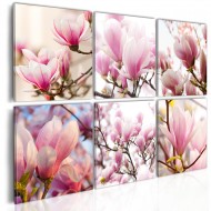 Tableau  Magnolias dans le Sud