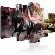 Tableau  Cheval noir sur fond de ciel cramoisi