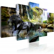 Tableau  Cheval noir sur fond de Cascade Paradis