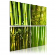 Tableau  Bambous