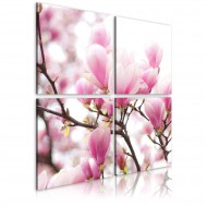 Tableau  Magnolia fleurissante