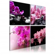 Tableau  Orchidées plus belles que jamais