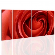 Tableau  Passionate rose