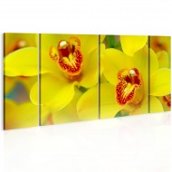 Tableau  Orchids  intensity of yellow color