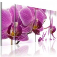 Tableau  Marvelous orchid