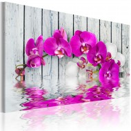 Tableau  harmonie orchidée
