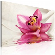 Tableau  Unusual orchid